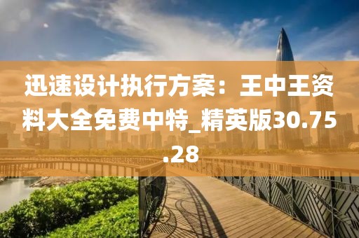 迅速設(shè)計(jì)執(zhí)行方案：王中王資料大全免費(fèi)中特_精英版30.75.28