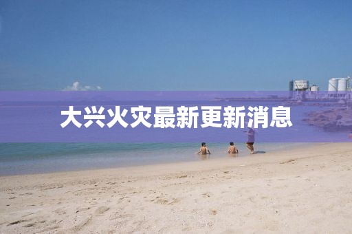 大興火災(zāi)最新更新消息