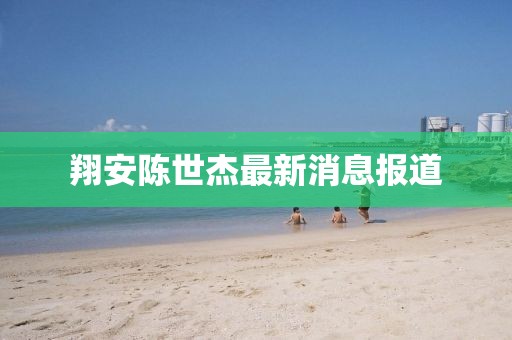 翔安陳世杰最新消息報道