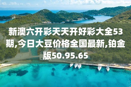 新澳六開彩天天開好彩大全53期,今日大豆價格全國最新,鉑金版50.95.65