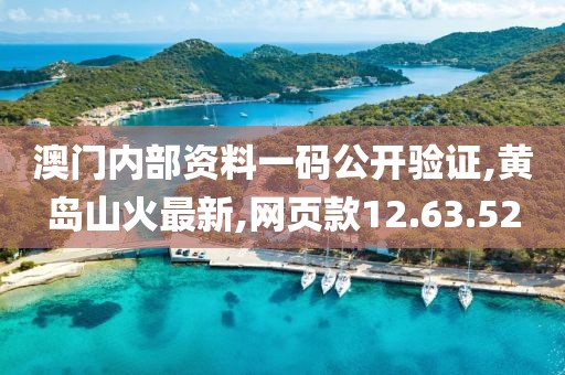 澳門內(nèi)部資料一碼公開驗(yàn)證,黃島山火最新,網(wǎng)頁(yè)款12.63.52