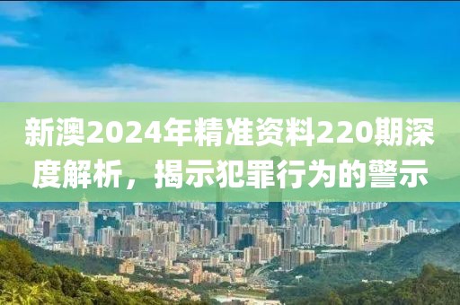 新澳2024年精準資料220期深度解析，揭示犯罪行為的警示