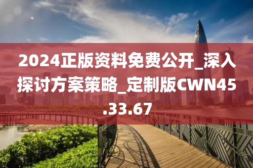 2024正版資料免費公開_深入探討方案策略_定制版CWN45.33.67