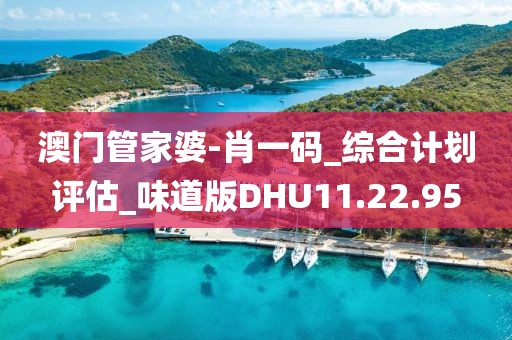 澳門管家婆-肖一碼_綜合計劃評估_味道版DHU11.22.95