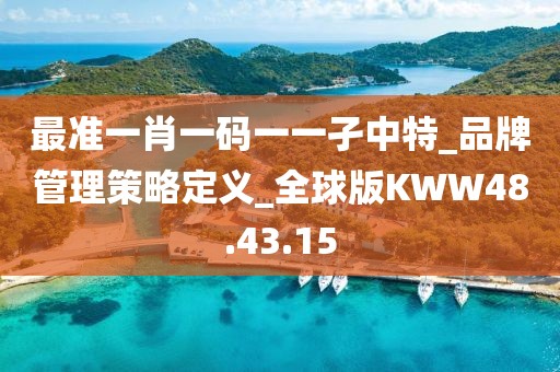 最準(zhǔn)一肖一碼一一孑中特_品牌管理策略定義_全球版KWW48.43.15