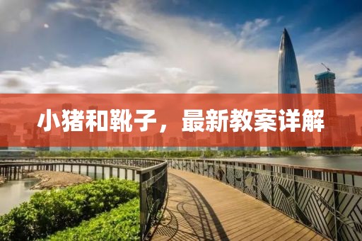 小豬和靴子，最新教案詳解