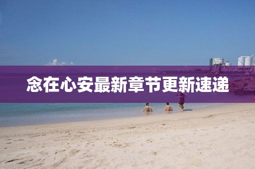 念在心安最新章節(jié)更新速遞
