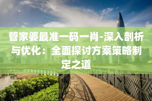 管家婆最準(zhǔn)一碼一肖-深入剖析與優(yōu)化：全面探討方案策略制定之道