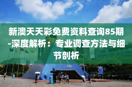 新澳天天彩免費(fèi)資料查詢85期-深度解析：專業(yè)調(diào)查方法與細(xì)節(jié)剖析