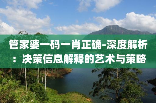 管家婆一碼一肖正確-深度解析：決策信息解釋的藝術(shù)與策略