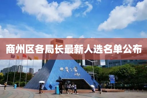 商州區(qū)各局長(zhǎng)最新人選名單公布