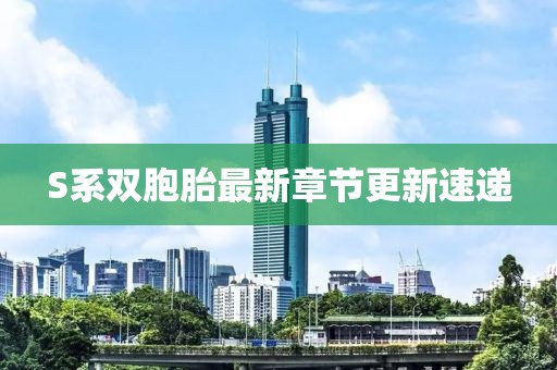 S系雙胞胎最新章節(jié)更新速遞