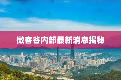 微客谷內(nèi)部最新消息揭秘