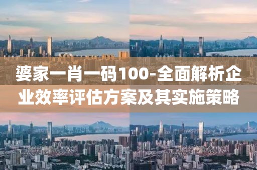 婆家一肖一碼100-全面解析企業(yè)效率評估方案及其實施策略