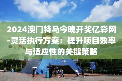 2024澳門特馬今晚開獎億彩網(wǎng)-靈活執(zhí)行方案：提升項目效率與適應(yīng)性的關(guān)鍵策略