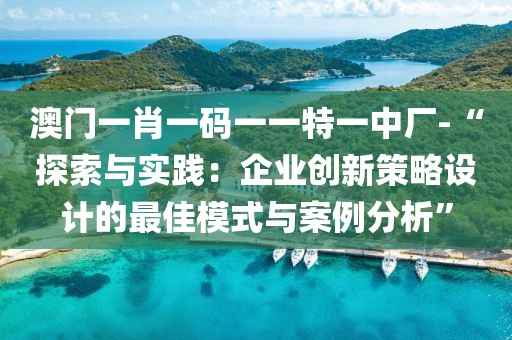 澳門一肖一碼一一特一中廠-“探索與實踐：企業(yè)創(chuàng)新策略設計的最佳模式與案例分析”