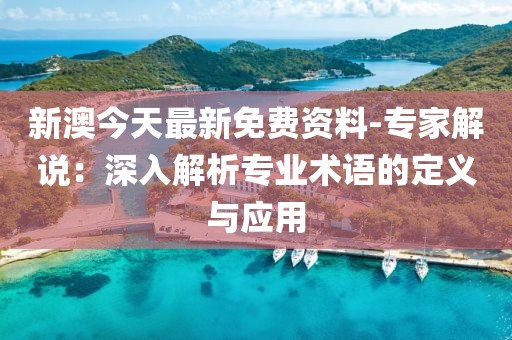 新澳今天最新免費(fèi)資料-專家解說(shuō)：深入解析專業(yè)術(shù)語(yǔ)的定義與應(yīng)用