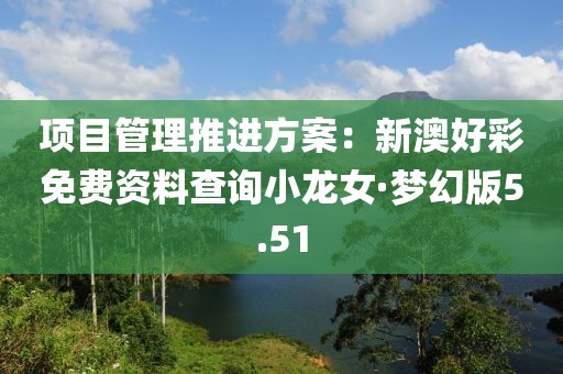 項目管理推進方案：新澳好彩免費資料查詢小龍女·夢幻版5.51