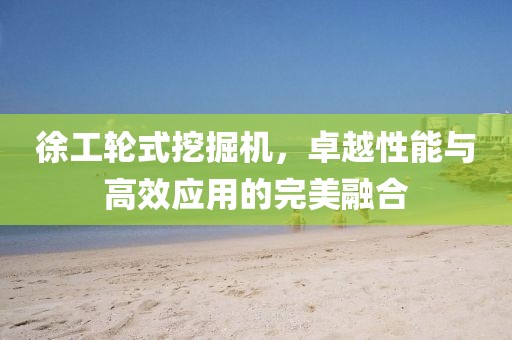 徐工輪式挖掘機(jī)，卓越性能與高效應(yīng)用的完美融合