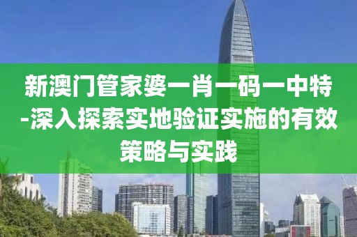 新澳門管家婆一肖一碼一中特-深入探索實(shí)地驗(yàn)證實(shí)施的有效策略與實(shí)踐