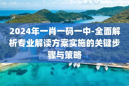 2024年一肖一碼一中-全面解析專業(yè)解讀方案實施的關鍵步驟與策略