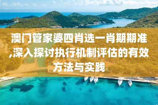 澳門(mén)管家婆四肖選一肖期期準(zhǔn),深入探討執(zhí)行機(jī)制評(píng)估的有效方法與實(shí)踐