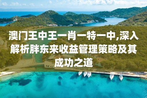 澳門王中王一肖一特一中,深入解析胖東來收益管理策略及其成功之道