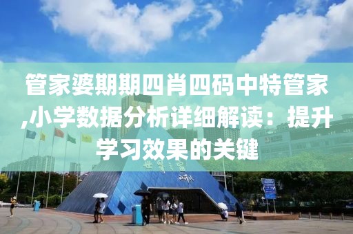 管家婆期期四肖四碼中特管家,小學數(shù)據(jù)分析詳細解讀：提升學習效果的關鍵
