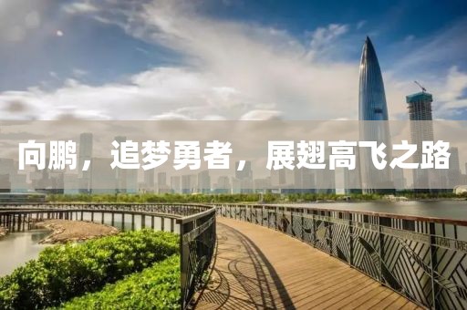 向鵬，追夢勇者，展翅高飛之路