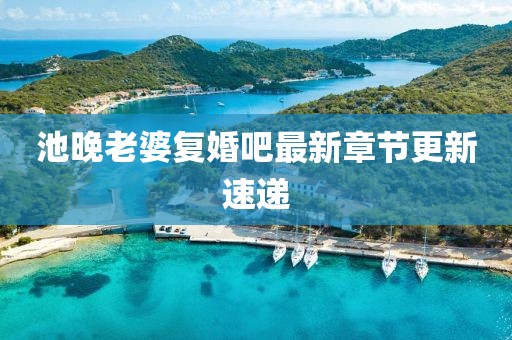 池晚老婆復(fù)婚吧最新章節(jié)更新速遞