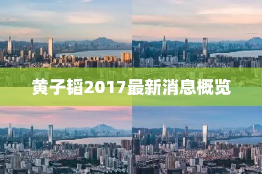 黃子韜2017最新消息概覽