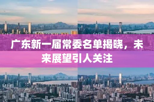 廣東新一屆常委名單揭曉，未來展望引人關(guān)注