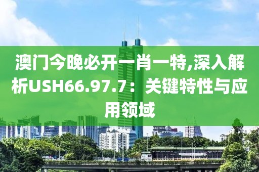 澳門今晚必開一肖一特,深入解析USH66.97.7：關鍵特性與應用領域
