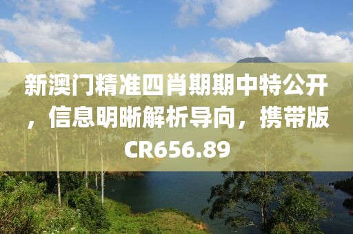 新澳門(mén)精準(zhǔn)四肖期期中特公開(kāi)，信息明晰解析導(dǎo)向，攜帶版CR656.89