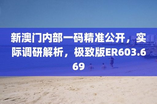 新澳門內部一碼精準公開，實際調研解析，極致版ER603.669