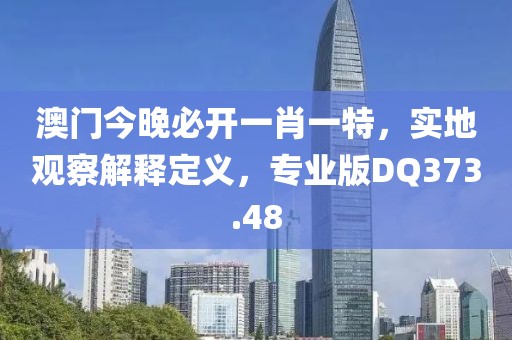 澳門今晚必開一肖一特，實地觀察解釋定義，專業(yè)版DQ373.48
