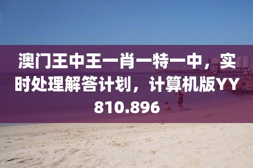 澳門(mén)王中王一肖一特一中，實(shí)時(shí)處理解答計(jì)劃，計(jì)算機(jī)版YY810.896