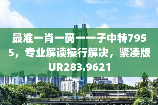 最準(zhǔn)一肖一碼一一子中特7955，專業(yè)解讀操行解決，緊湊版UR283.9621
