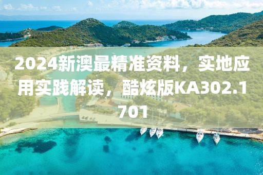 2024新澳最精準(zhǔn)資料，實地應(yīng)用實踐解讀，酷炫版KA302.1701