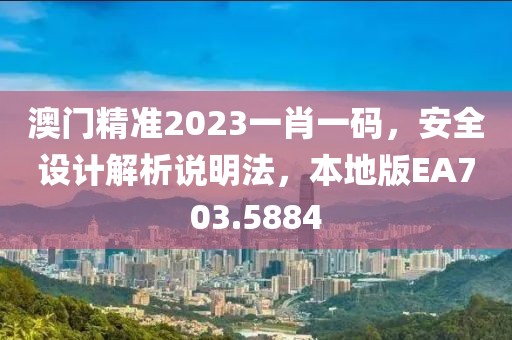 澳門精準(zhǔn)2023一肖一碼，安全設(shè)計解析說明法，本地版EA703.5884
