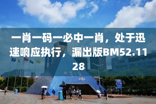 一肖一碼一必中一肖，處于迅速響應(yīng)執(zhí)行，漏出版BM52.1128