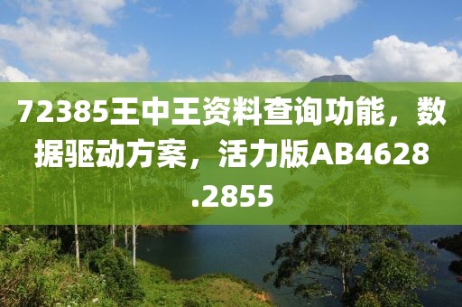 72385王中王資料查詢功能，數(shù)據(jù)驅(qū)動方案，活力版AB4628.2855