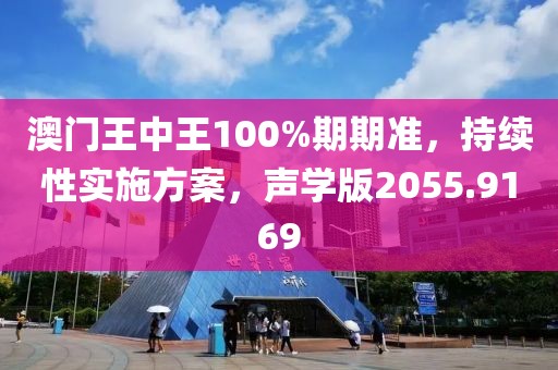 澳門王中王100%期期準(zhǔn)，持續(xù)性實(shí)施方案，聲學(xué)版2055.9169