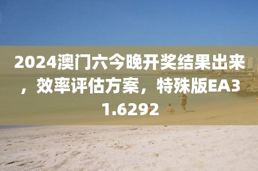 2024澳門六今晚開獎結(jié)果出來，效率評估方案，特殊版EA31.6292