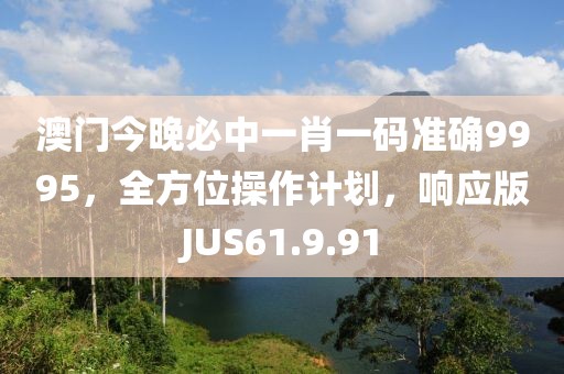 澳門今晚必中一肖一碼準(zhǔn)確9995，全方位操作計(jì)劃，響應(yīng)版JUS61.9.91