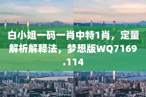 白小姐一碼一肖中特1肖，定量解析解釋法，夢(mèng)想版WQ7169.114