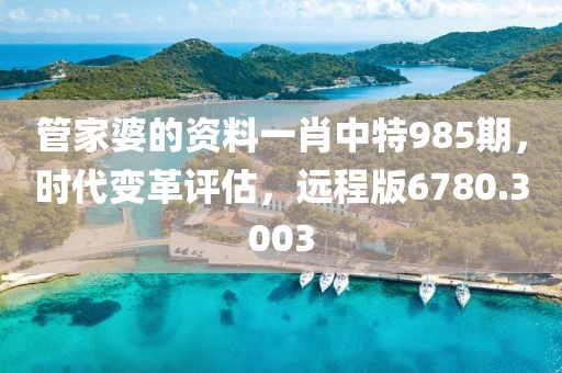 管家婆的資料一肖中特985期，時代變革評估，遠程版6780.3003