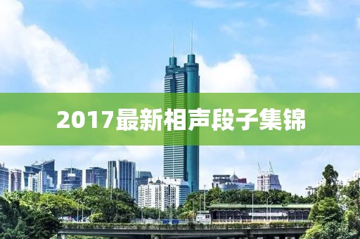 2017最新相聲段子集錦