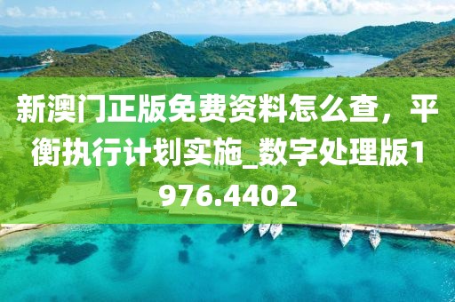 新澳門正版免費(fèi)資料怎么查，平衡執(zhí)行計(jì)劃實(shí)施_數(shù)字處理版1976.4402