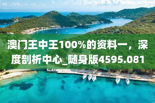 澳門王中王100%的資料一，深度剖析中心_隨身版4595.081